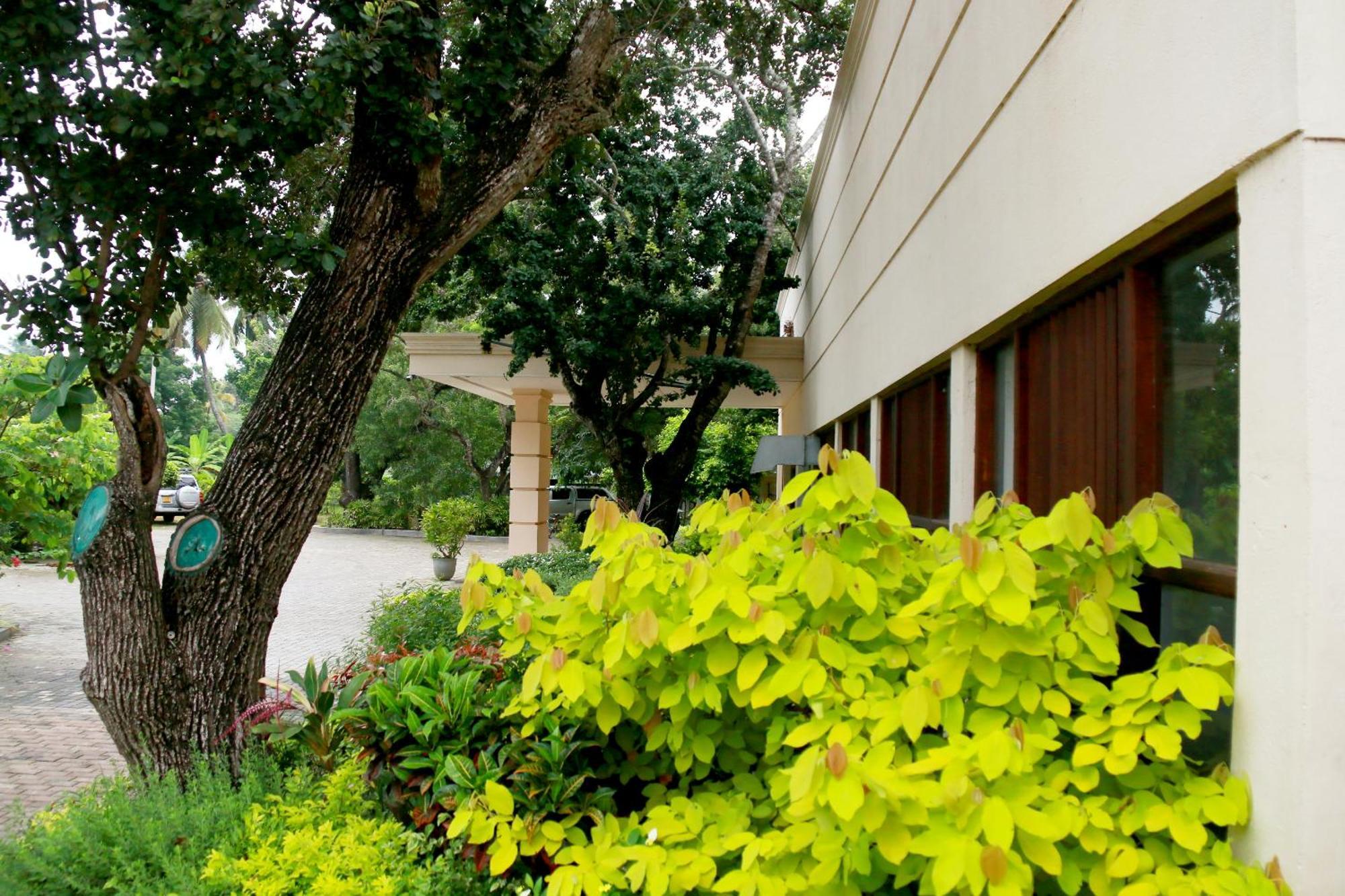 Jade Green Hotel המבנטוטה מראה חיצוני תמונה