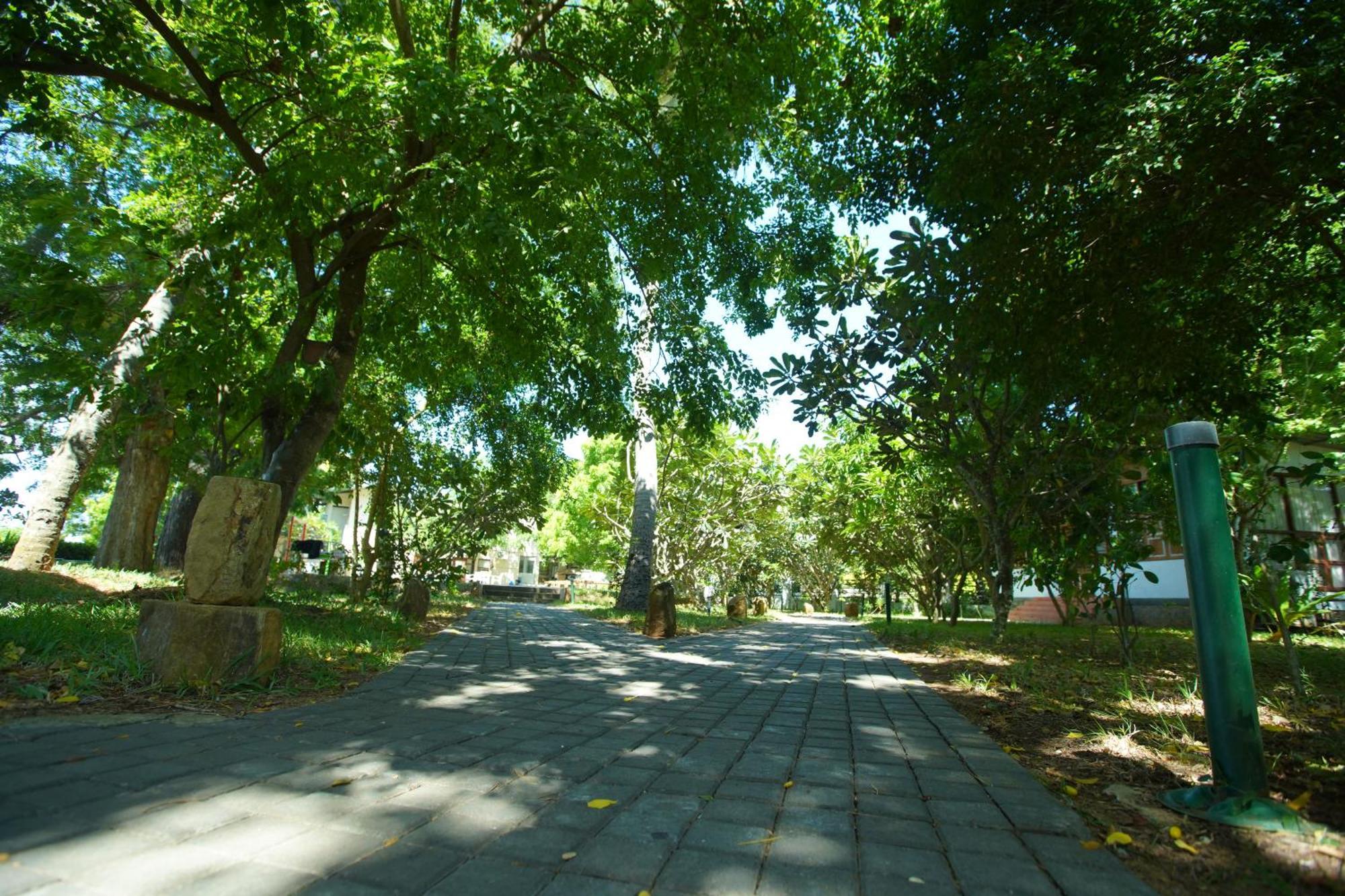 Jade Green Hotel המבנטוטה מראה חיצוני תמונה