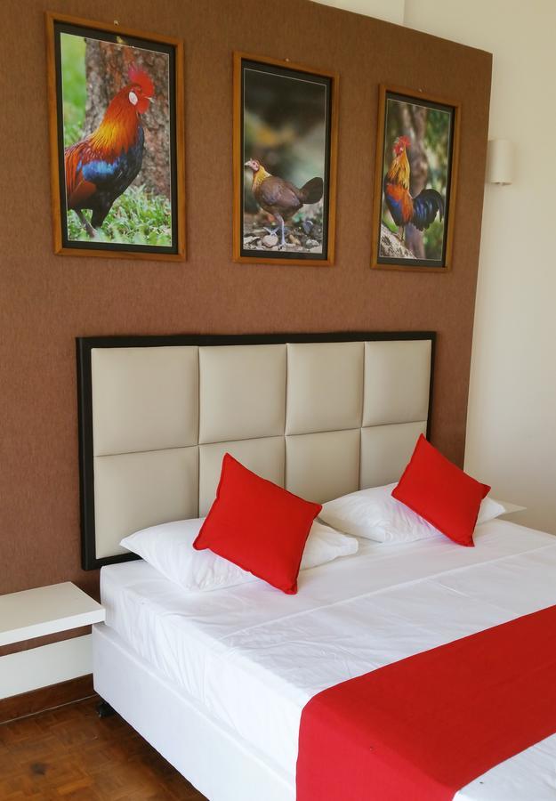 Jade Green Hotel המבנטוטה מראה חיצוני תמונה