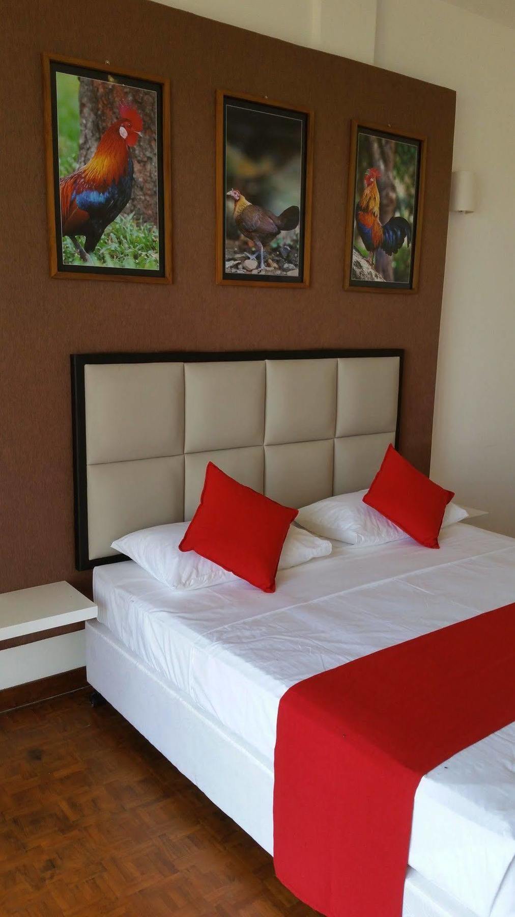 Jade Green Hotel המבנטוטה מראה חיצוני תמונה